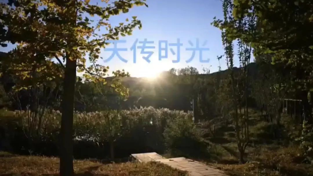 微信图片_20250228152554.jpg